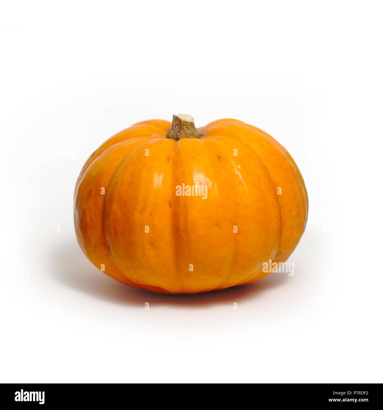 Kürbis auf weißem Hintergrund Stockfoto