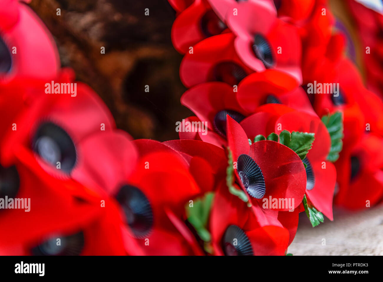 Ein Mohn Kranz niedergelegt am Fuße eines Weltkriegs Gedenken Denkmal. Stockfoto