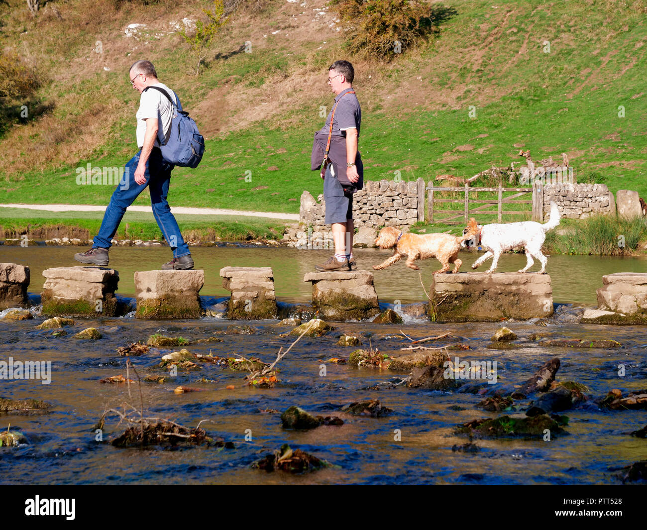 Nationalpark Peak District, Derbyshire, UK. 10. Oktober, 2018. UK Wetter zwei Männer und zwei Hunde Überqueren der Trittsteine auf einem ungewöhnlich heißen sonnigen Oktobertag im touristischen Hotspot von Dovedale im Peak District National Park, Derbyshire Credit: Doug Blane/Alamy leben Nachrichten Stockfoto