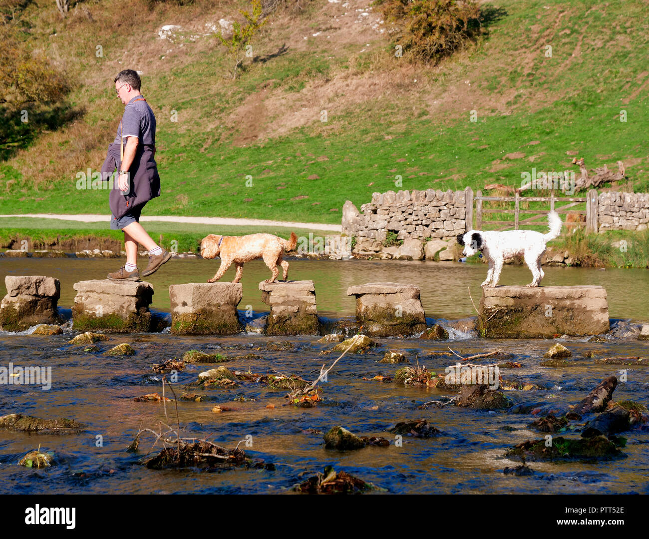 Nationalpark Peak District, Derbyshire, UK. 10. Oktober, 2018. UK Wetter ein Mann und zwei Hunde Überqueren der Trittsteine auf einem ungewöhnlich heißen sonnigen Oktobertag im touristischen Hotspot von Dovedale im Peak District National Park, Derbyshire Credit: Doug Blane/Alamy leben Nachrichten Stockfoto