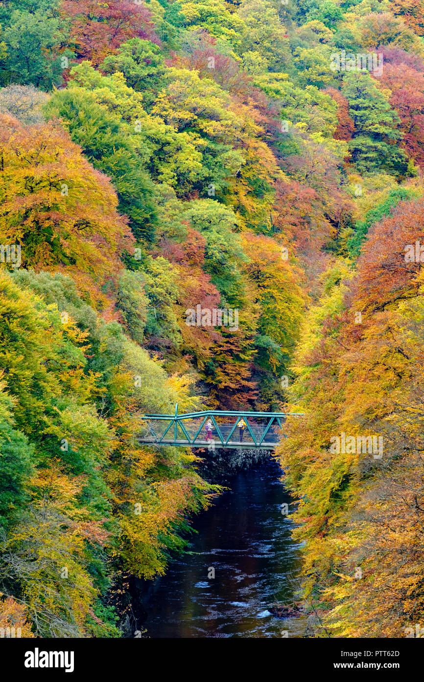 Pitlochry, Schottland, Vereinigtes Königreich, 10. Oktober 2018. Spektakuläre Farben des Herbstes in den Bäumen umgeben einen kleinen Steg den Fluss Garry Übergang bei Killiecrankie, der berühmten Perthshire. Credit: Iain Masterton/Alamy leben Nachrichten Stockfoto