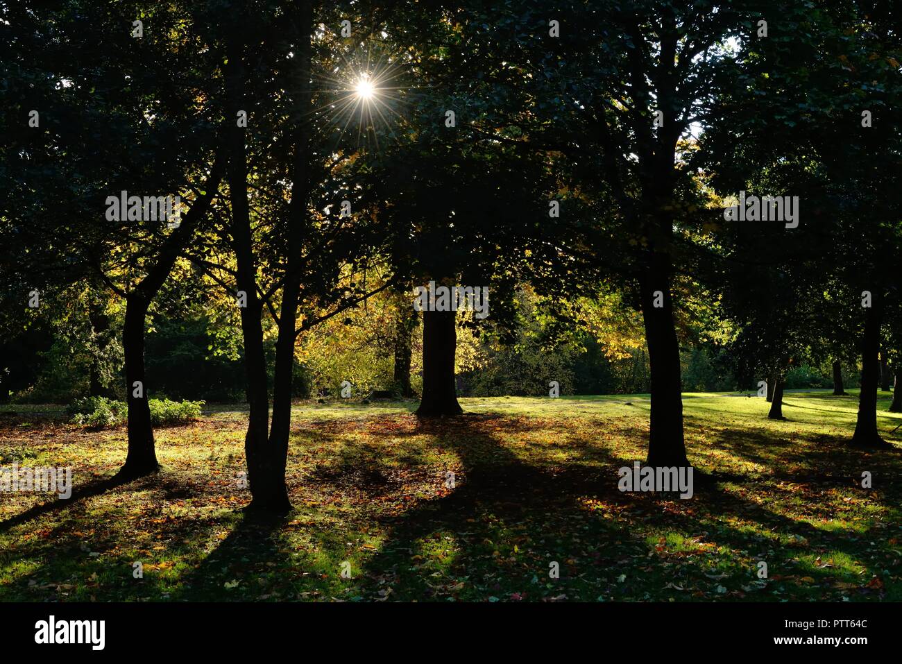 Glasgow, Schottland, Großbritannien. 10.Oktober 2010. Glasgow, Schottland, Großbritannien. Warme Luftströmungen aus dem Süden gebracht unseasonal hohe Temperaturen in den niedrigen 20er bis Ostrenfrewshire und Rouken Glen Park am Stadtrand von Glasgow. Stockfoto