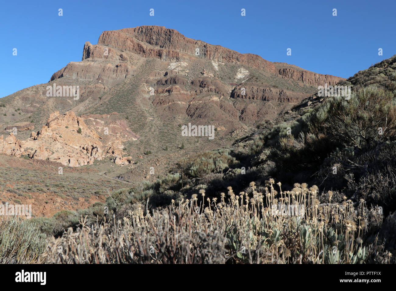 Vulkanische Landschaft im Mirador Roques de Garcia auf dem Weg zum Pico del Teide auf der Kanaren Insel Teneriffa auf 18.09.2018. Die Felsen Roques de Garcia liegt rund fünf Kilometer südlich der Gipfel des Teide auf einer Höhe von etwa 2200 m am Rande des ausgedehnten Caldera Las Ca - adas befindet. Das Gebiet ist Teil des Teide National Park (Parque Nacional del Teide). Der Pico del Teide (auch Teyde) ist mit 3718 m die höchste Erhebung auf der Kanarischen Insel Teneriffa und den höchsten Berg Spaniens. Es gehört zu der Gemeinde von La Orotava. Im Jahr 2007 wurde das Gebiet der Nat Stockfoto