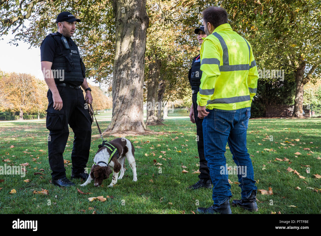 Windsor, Großbritannien. 11. Oktober, 2018. Ein Polizei Sauganlegerhundes im Windsor Great Park als Teil der Vorbereitungen am Vorabend der Hochzeit von Prinzessin Eugenie, Enkelin der Queen's verwendet wird, und ihr Freund von rund sieben Jahren Jack Brooksbank. Credit: Mark Kerrison/Alamy leben Nachrichten Stockfoto