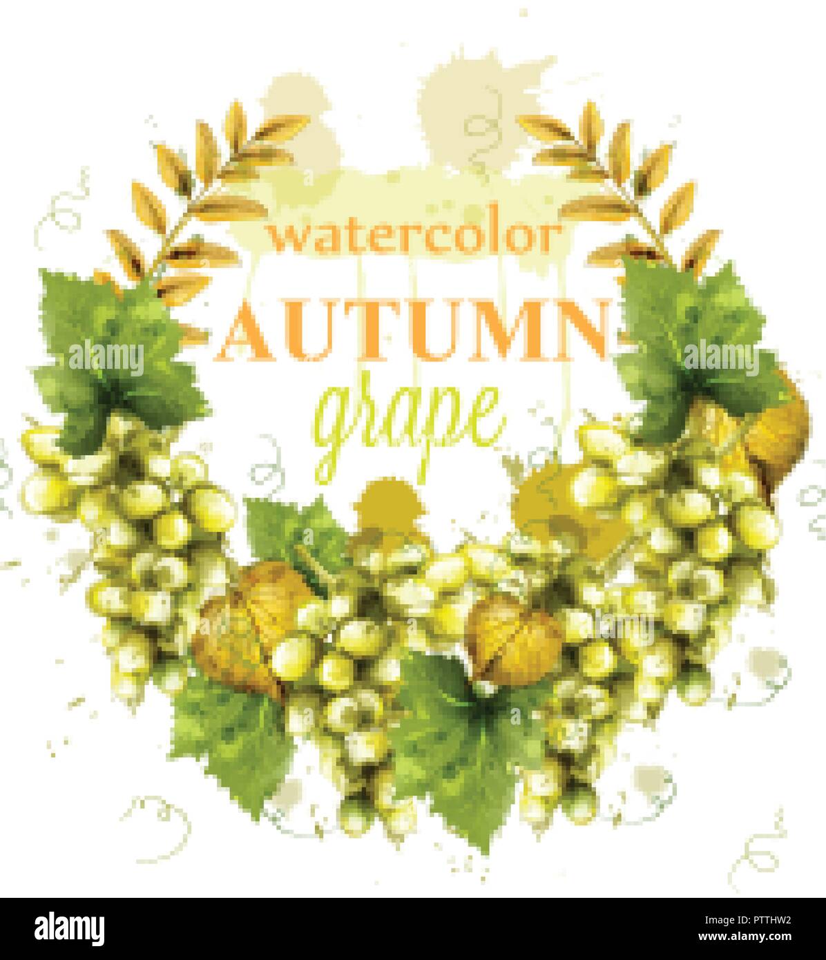 Weiße Trauben Kranz aquarell Karte Vektor. Malte splash style Template