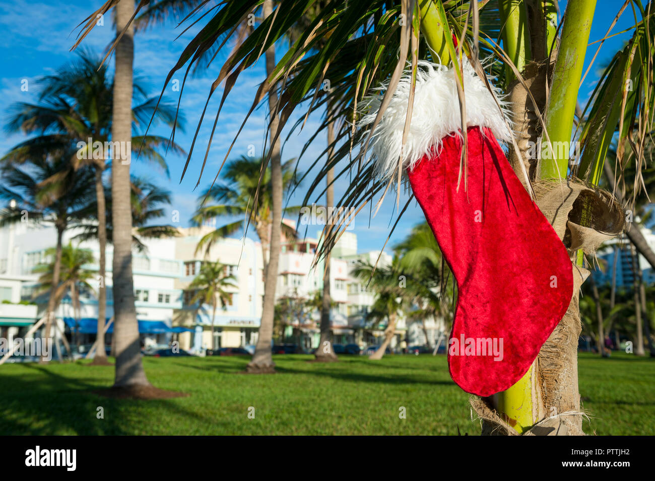 Weihnachtsstrumpf hängen von Palm Tree vor hellen tropischen Urlaub Szene in South Beach, Miami, Florida, USA Stockfoto