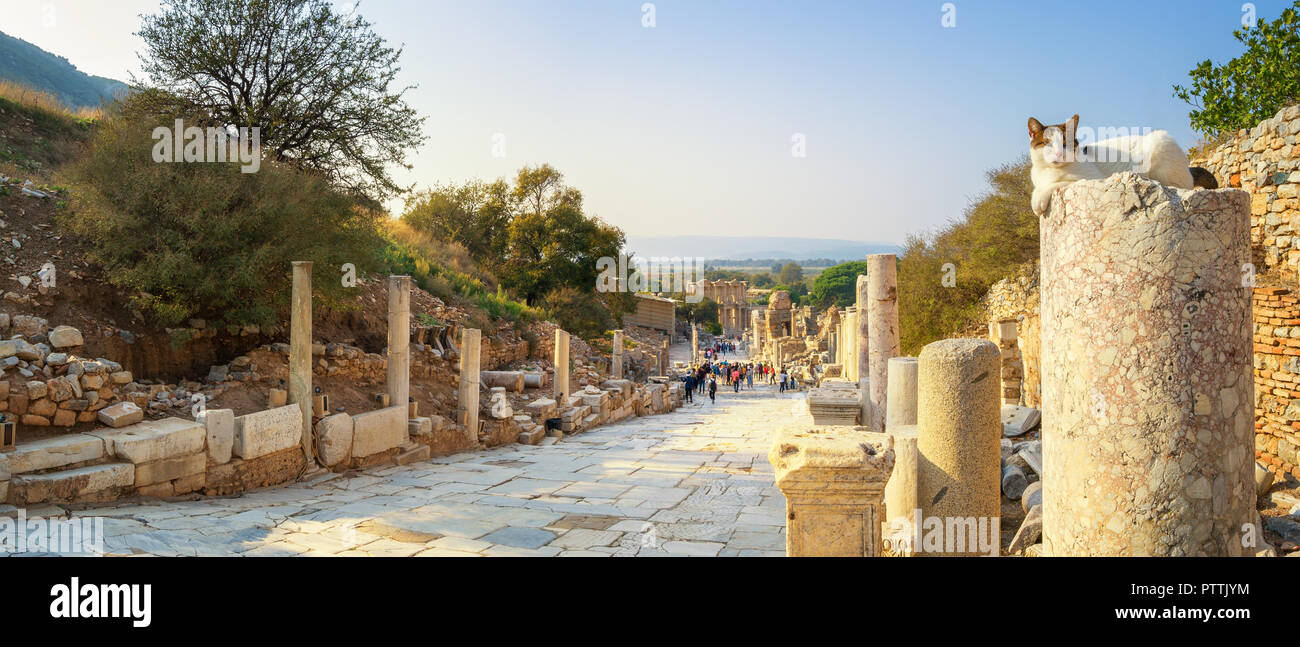 Panorama von Ephesus - Curetes Street, mit einer Katze sitzt auf einer Spalte Stockfoto