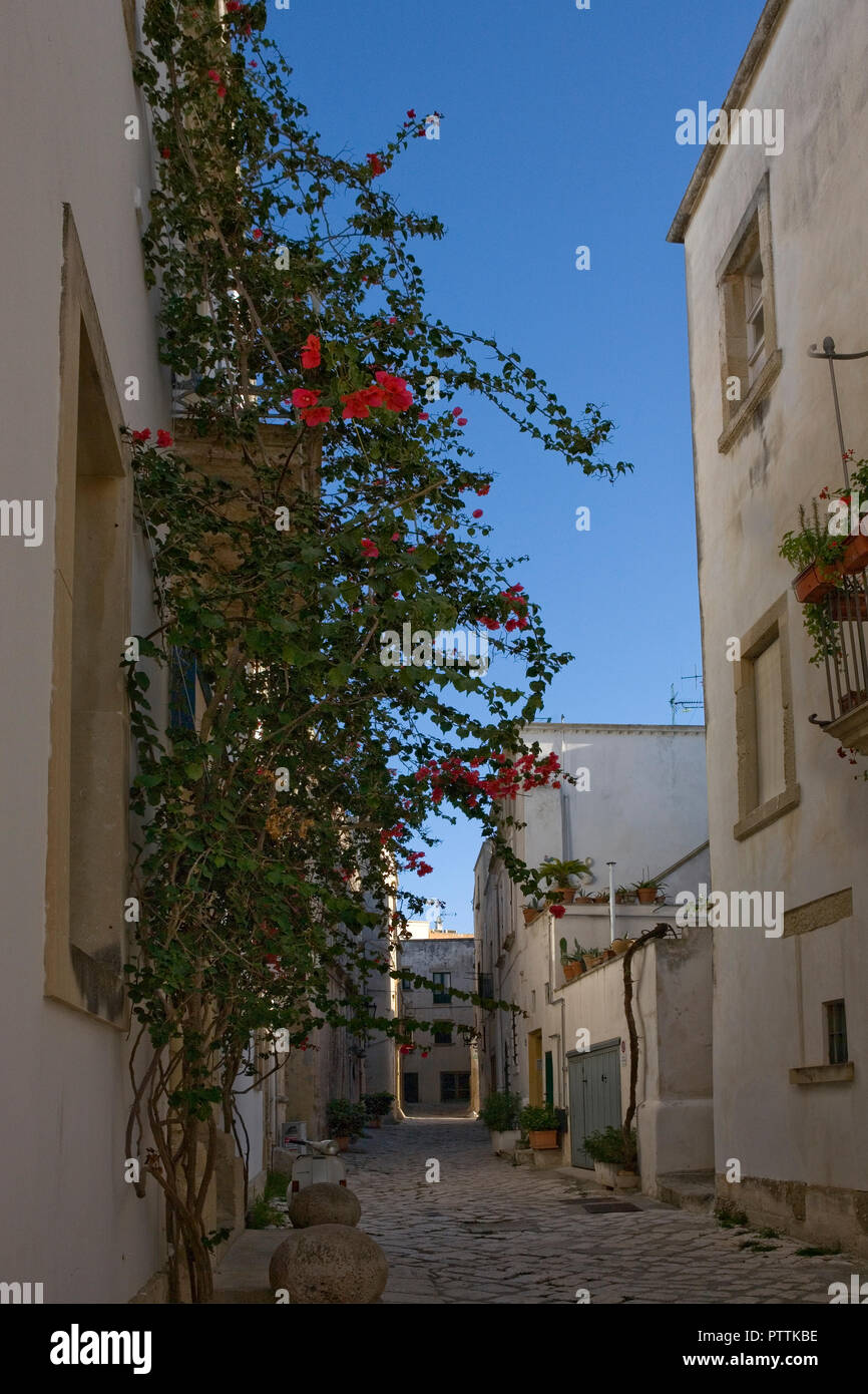 Piazzetta De Ferrari, in der Altstadt von Otranto, Italien Stockfoto