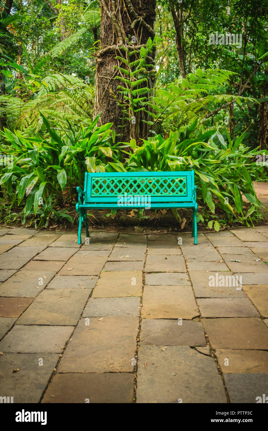 Ein Helles Blau Bank Auf Beton Backstein Mit Schonen Grunen Farn Und Baumstamm Hintergrund Ruhigen Gartenarbeit Mit Sitzbank Und Farn Busche Backgro Stockfotografie Alamy