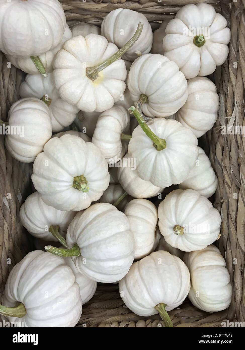 Frische reife raw kleine Kürbisse in einem dekorativen Korb am Marktstand. Ansicht von oben. Kann als Hintergrund verwendet werden. Stockfoto