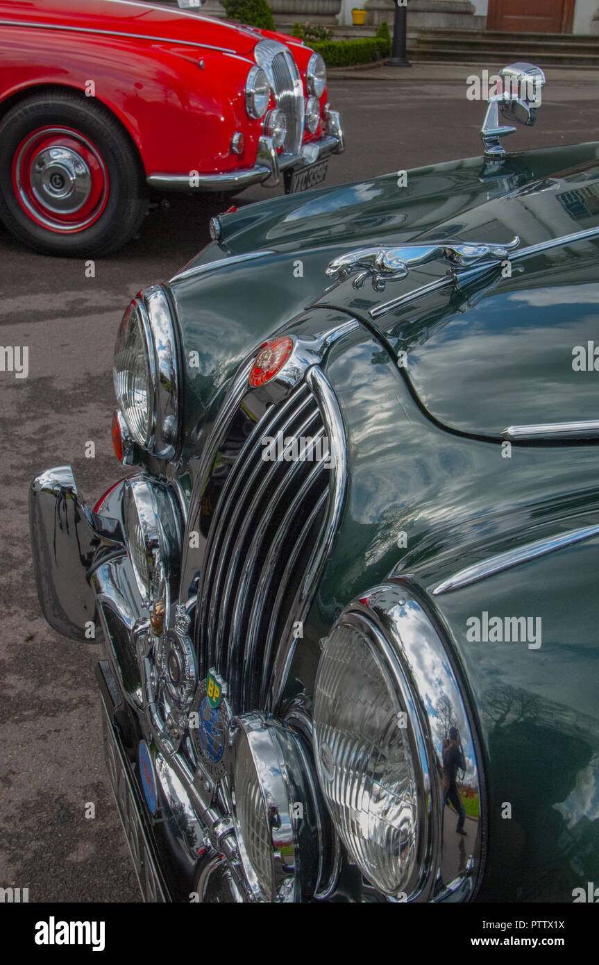 Mk 2 Jaguar und Daimler V8 Classic Cars, Abzeichen entwickelt, um die gleiche Karosserie zu verwenden Stockfoto