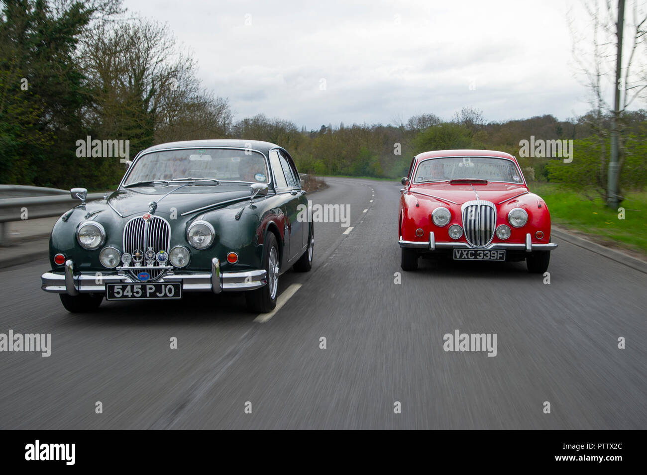 Mk 2 Jaguar und Daimler V8 Classic Cars, Abzeichen entwickelt, um die gleiche Karosserie zu verwenden Stockfoto