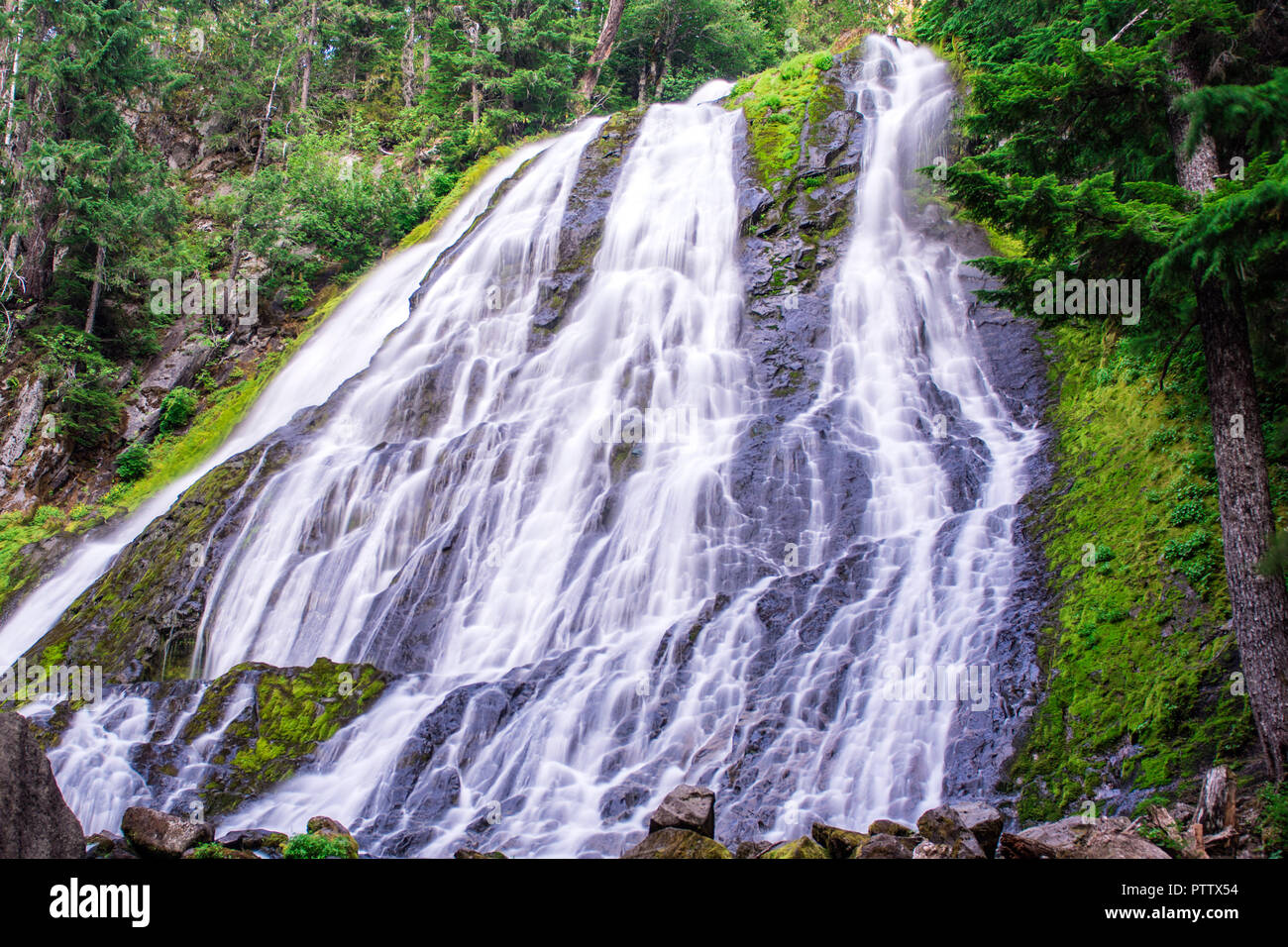 Diamond Creek in Willamette National Forest, Oregon Stockfoto