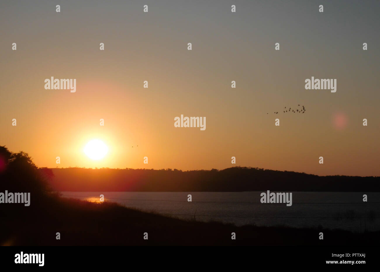 Sonnenuntergang am Horizont in Farbe und wird orange, und Scharen von Vögeln. See des Wasserkraftwerks von Emboracação in Minas Gerais, Brasilien. Stockfoto