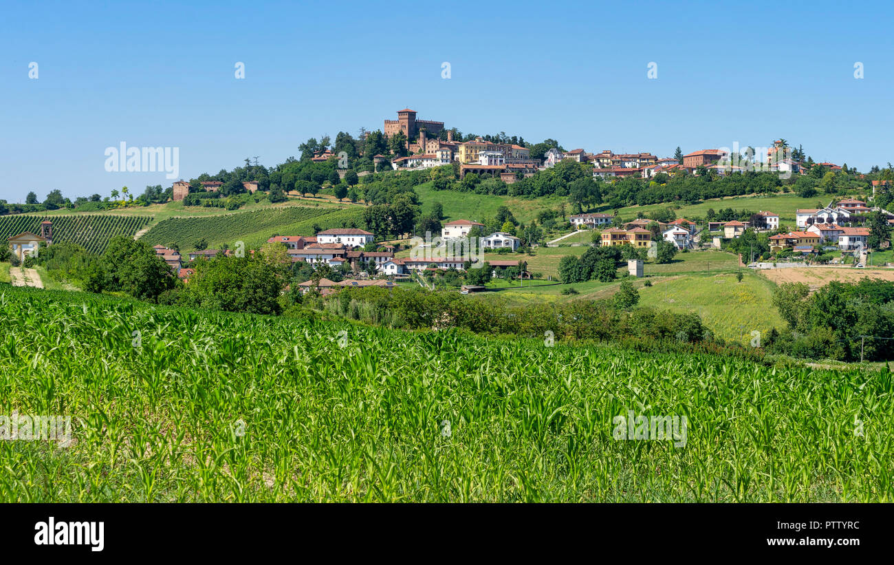 Weinberge am Gabiano, Alessandria, Monferrato, Piemont, Italien. Sommer Landschaft Stockfoto