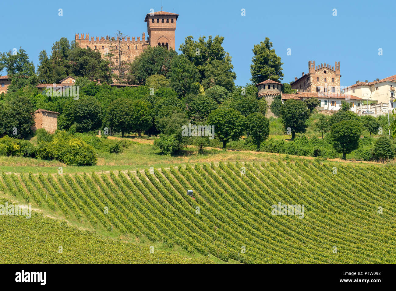 Weinberge am Gabiano, Alessandria, Monferrato, Piemont, Italien. Sommer Landschaft Stockfoto