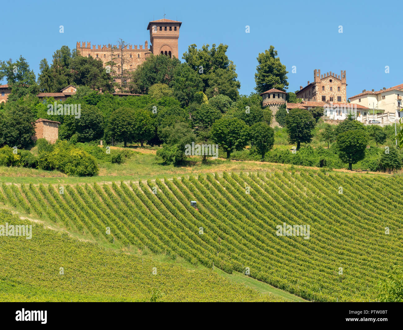 Weinberge am Gabiano, Alessandria, Monferrato, Piemont, Italien. Sommer Landschaft Stockfoto
