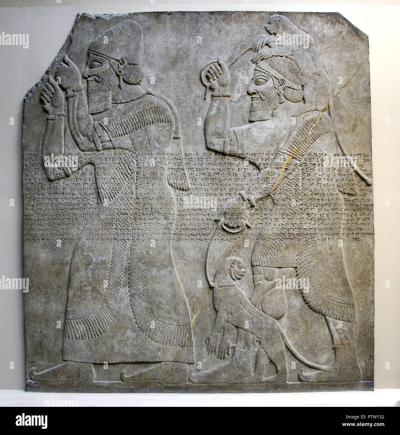 Assyrischen Relief Darstellung Tribut - Träger, von Nimrud, North-West Palace, Hof D, Panel 7. About 865-860 BC. Gips an der Wand. Stockfoto