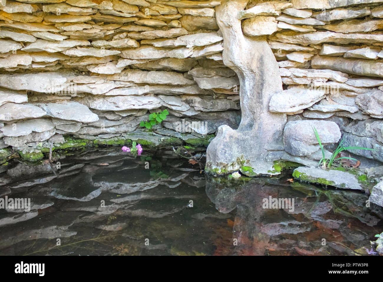 Blumen schweben im Wasser innerhalb einer Steingrotte mit Steinmauern im Wasser widerspiegelt. Stockfoto