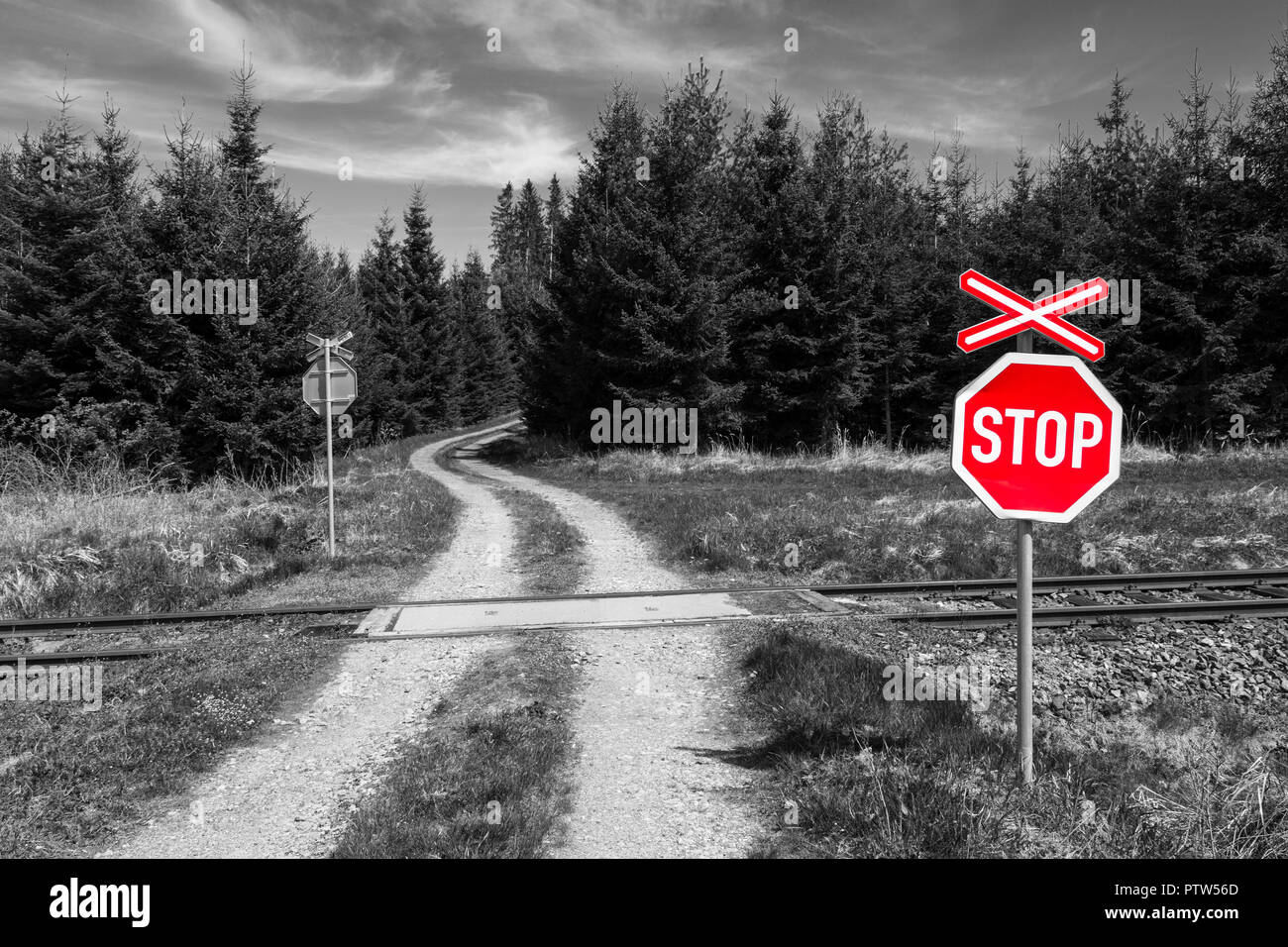 Stop-Schild am Bahnübergang in der Natur. Rotes Warnsignal mit crossbuck auf schwarzen und weißen Hintergrund mit Straße durch Eisenbahn- und Fichtenwald. Stockfoto