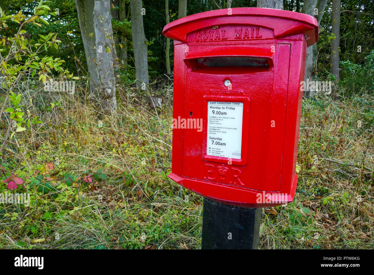 Rot Deutsch postbox auf Post im Wald, auf dem Land, Catterick, North Yorkshire, Großbritannien Stockfoto