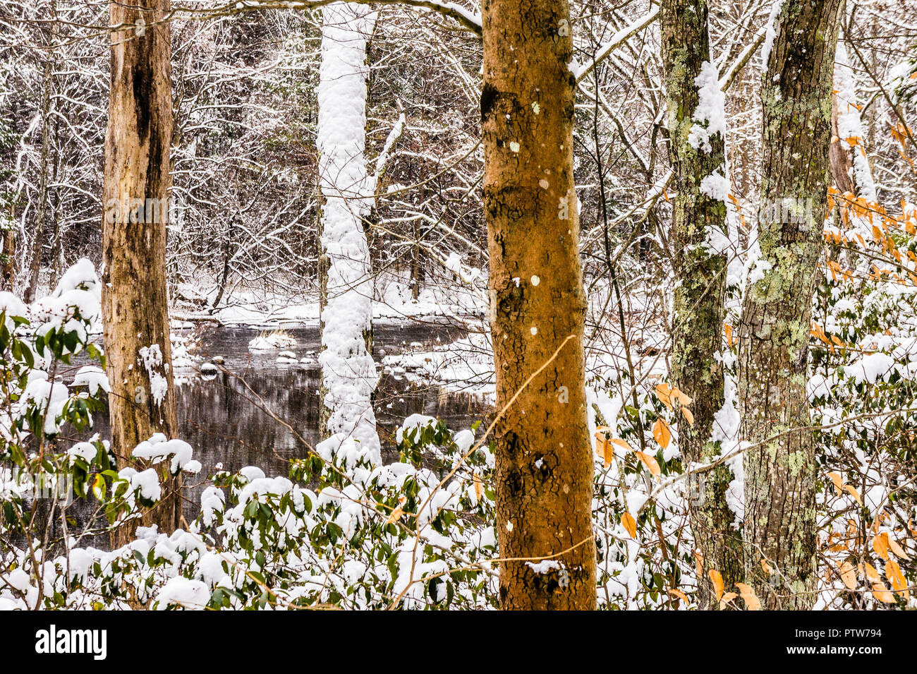 Farmington River Barkhamsted, Connecticut, USA Stockfoto