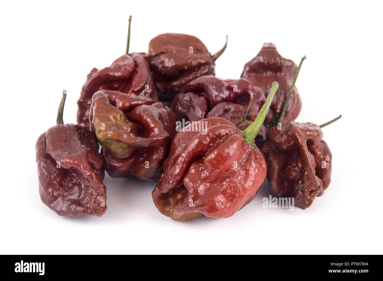 Trinidad moruga scorpion Schokolade extrem Peperoni Vielfalt Stockfoto