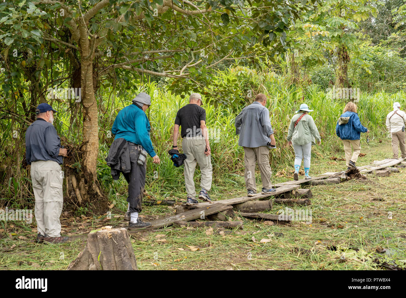 Puerto Miguel, Peru, Südamerika. Touristen entlang eine behelfsmäßige Boardwalk in einem sumpfigen Gebiet. (Für die redaktionelle Nutzung) Stockfoto