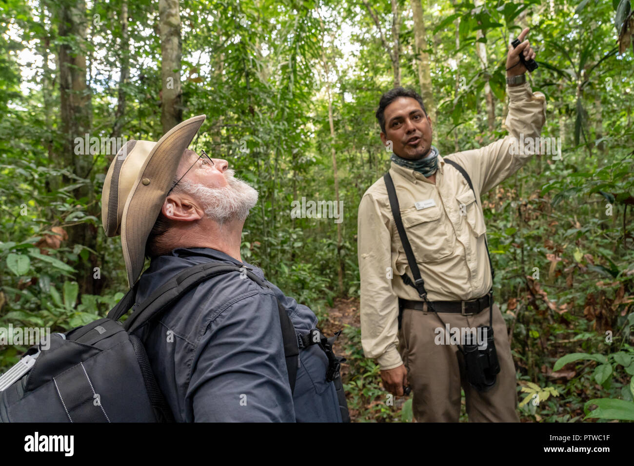 Amazon Nationalpark, Peru, Südamerika. Reiseleiter sprechen über die Baumkronen des Regenwaldes. (Für die redaktionelle Nutzung) Stockfoto