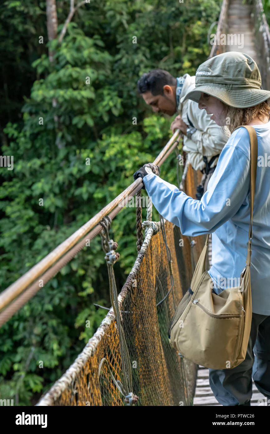 Amazon Nationalpark, Peru, Südamerika. Tourguide und Touristen auf der Suche nach einem hölzernen Steg Canopy Walk. (Für die redaktionelle Nutzung) Stockfoto