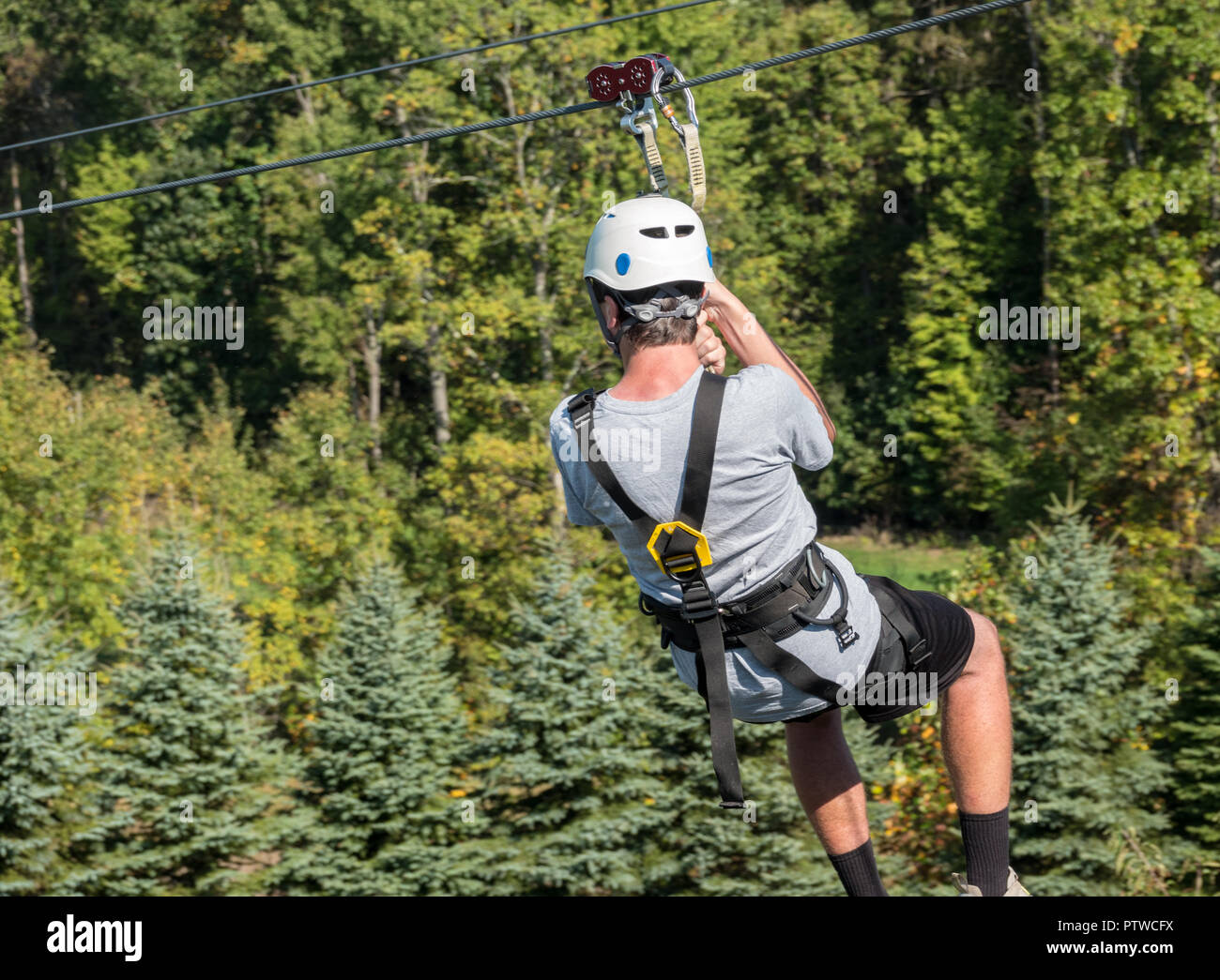 Ansicht von hinten von einem Mann auf einem Zipline, einem Tal im Wald Stockfoto