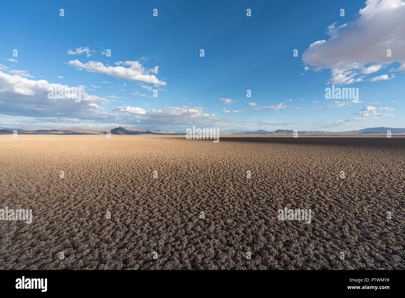 Auf die Schatten Flanke an Soda Dry Lake in der Nähe von Zzyzx in der kalifornischen Mojave-Wüste. Stockfoto