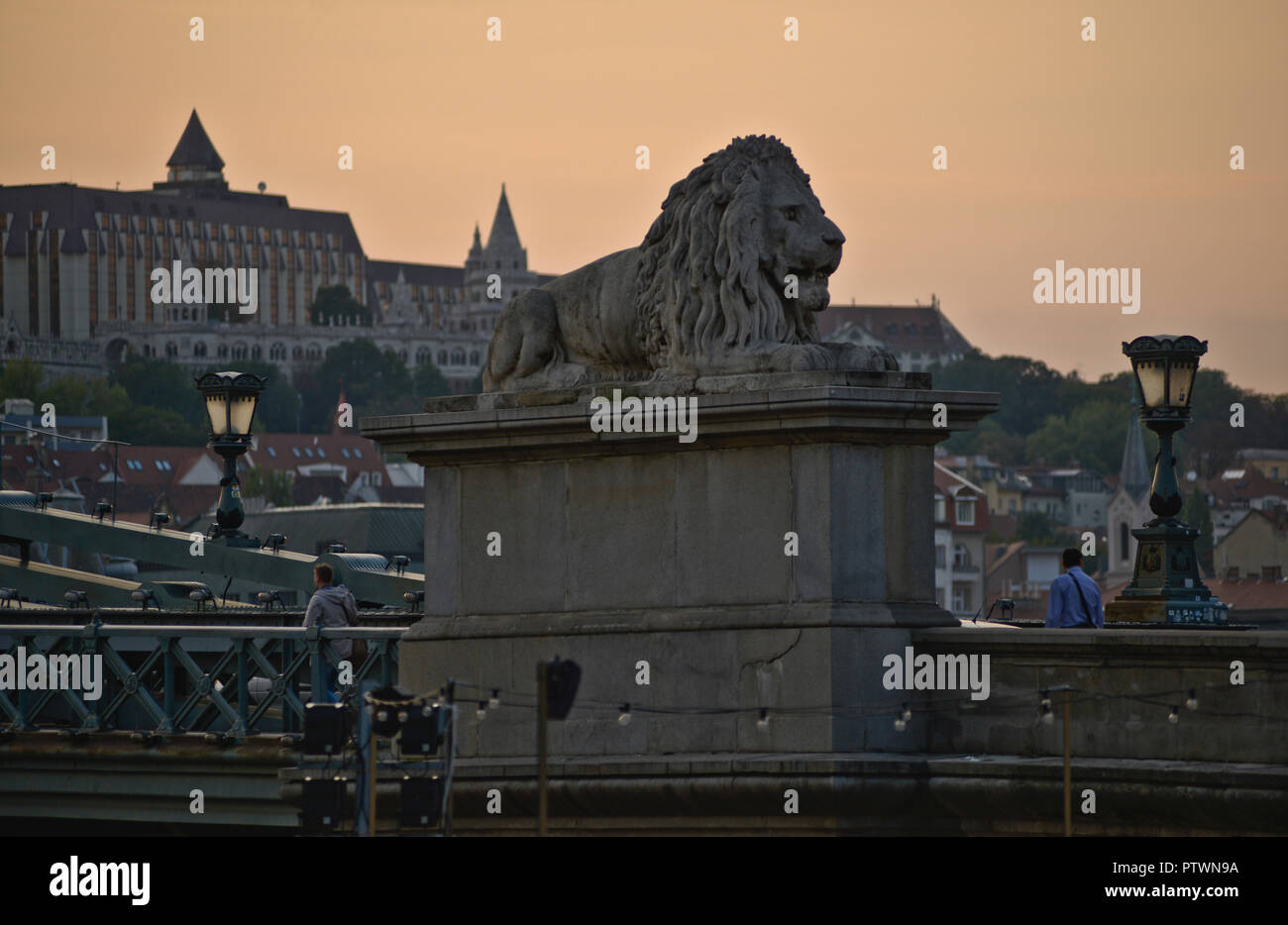 Wächterlöwen der Széchenyi Kettenbrücke. Budapest, Ungarn Stockfoto