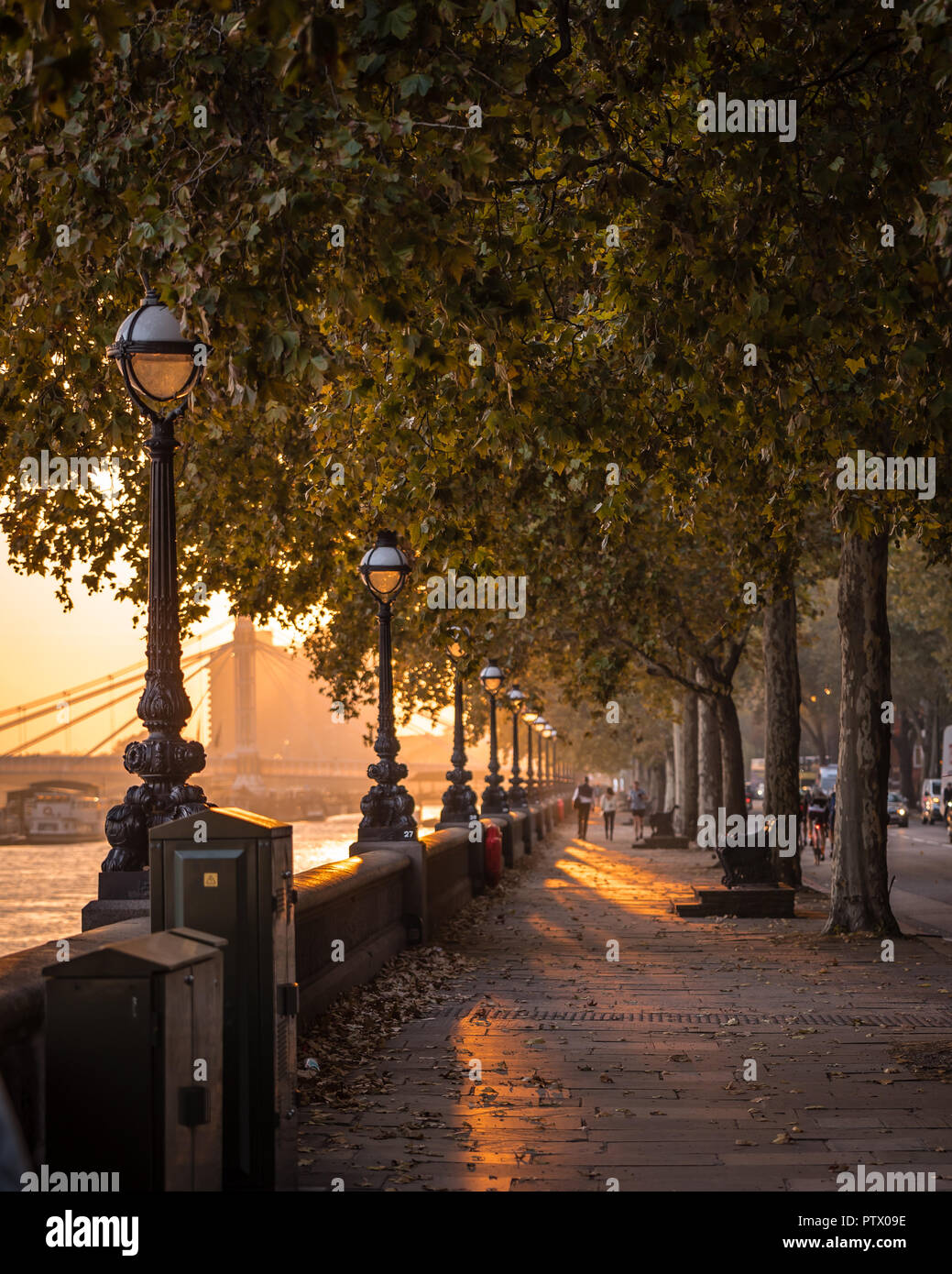 Blick Richtung Albert Bridge auf Ein herbstlicher Sonnenuntergang Stockfoto