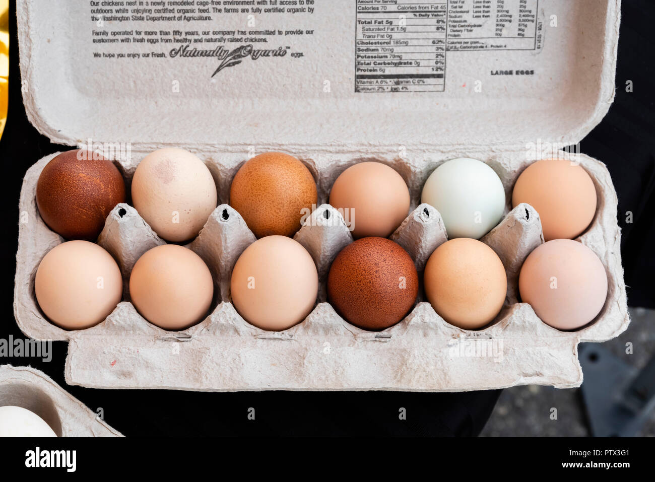 Frische Weide angehoben Eier auf Anzeige an der Farmers Market Stockfoto