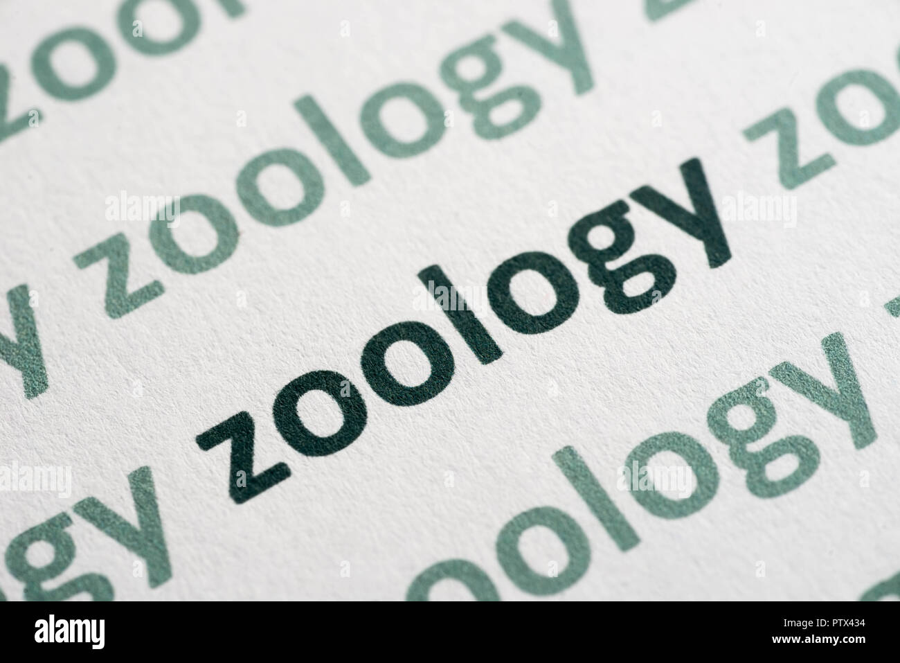 Wort Zoologie auf weißem Papier Makro gedruckt Stockfoto