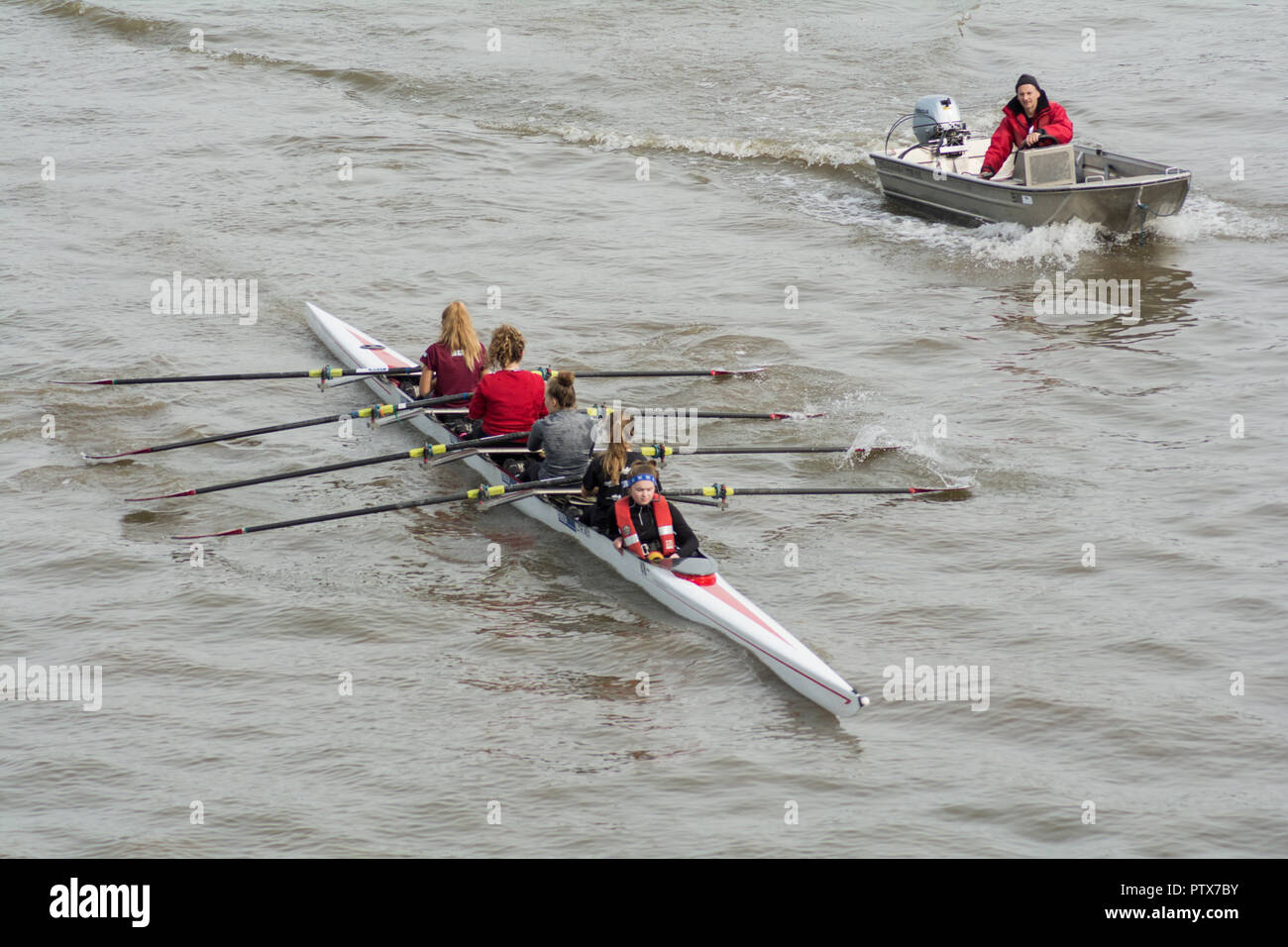 Eine Frau hat acht und ein Hilfsboot auf der Themse, Barnes, London, SW13, Großbritannien, gefahren Stockfoto