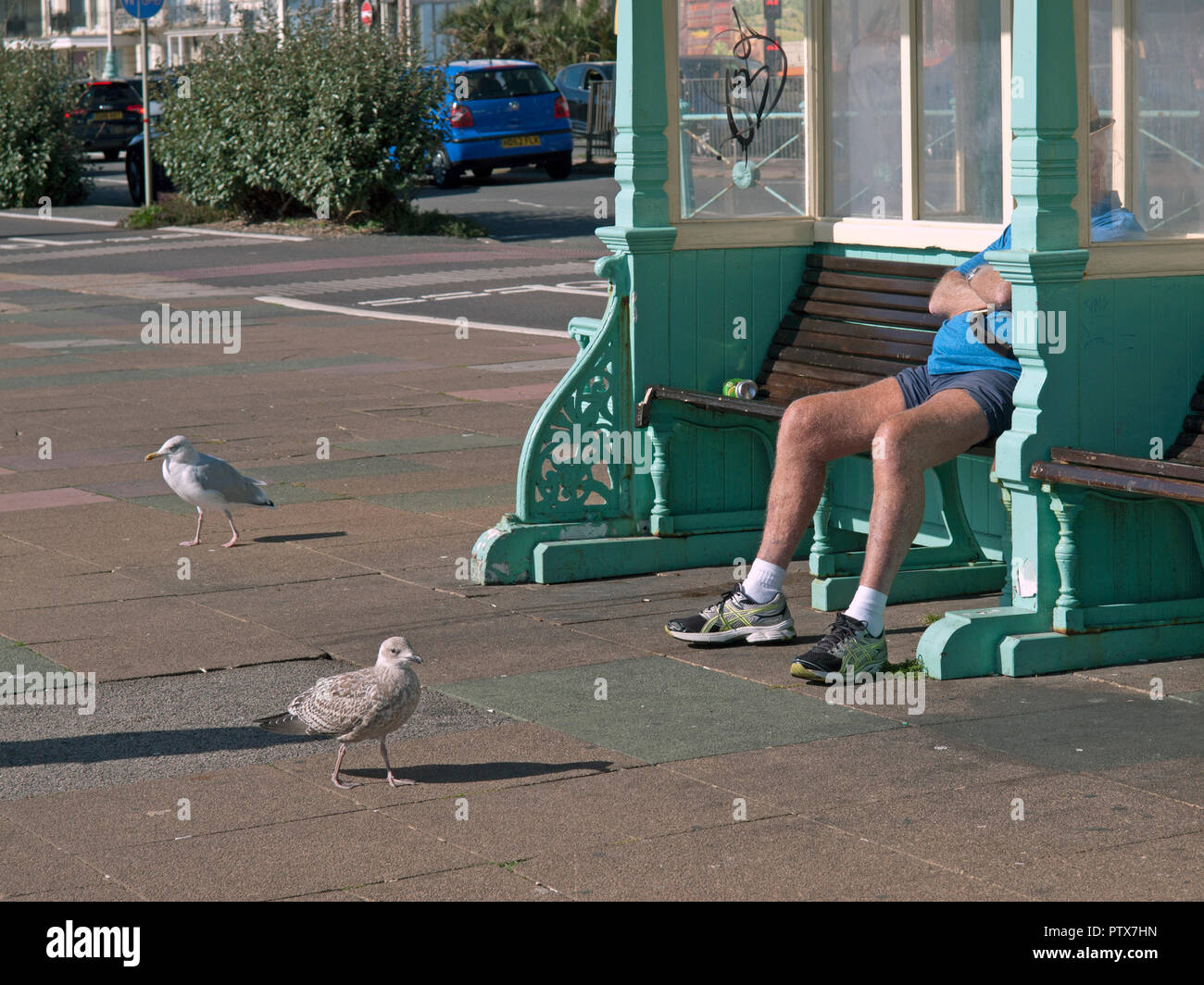 An einem sonnigen Brighton Seafront ein Mann sitzt auf einer Bank Stockfoto