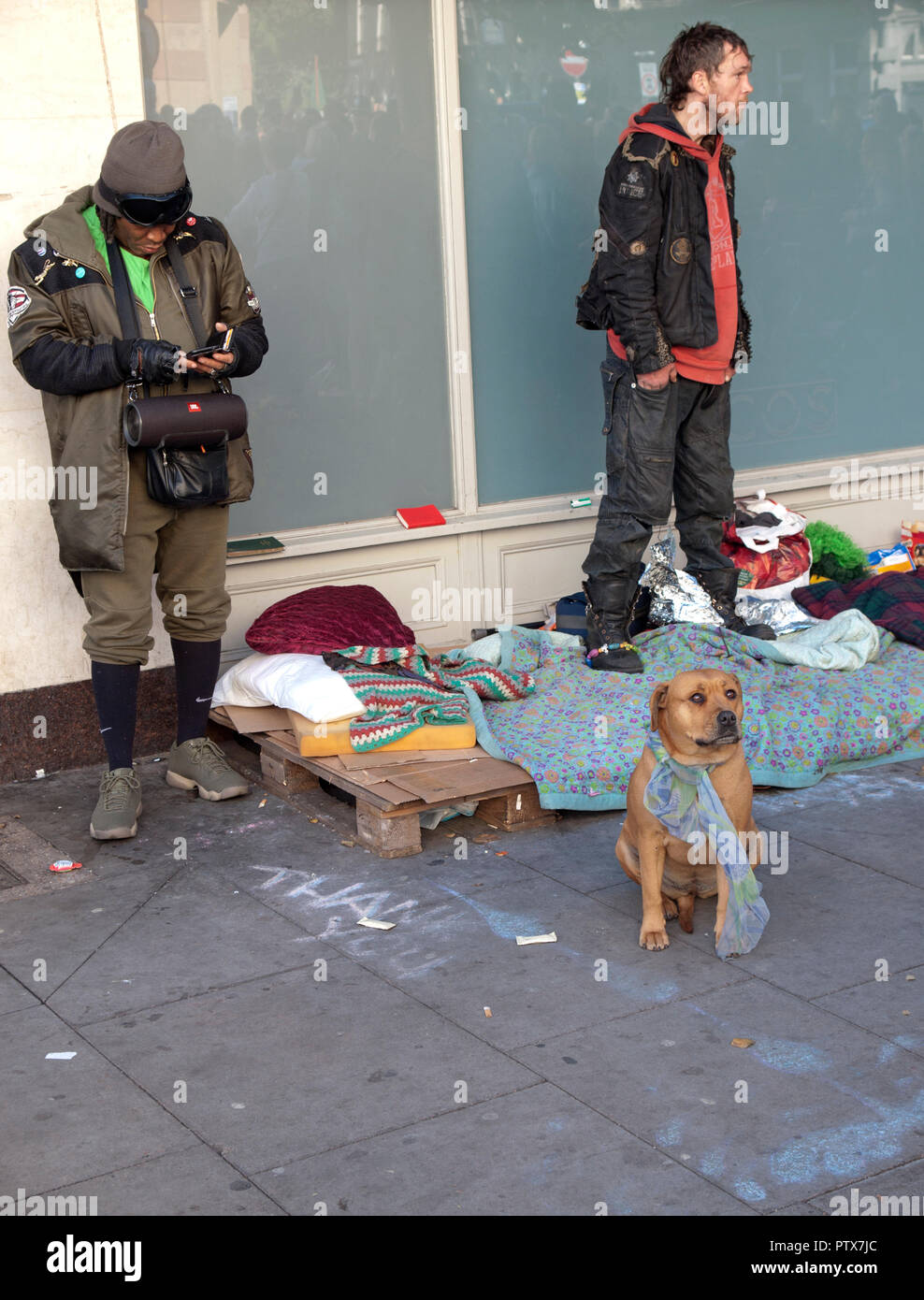 Straße die Menschen mit ihrem Hund in Brighton Stockfoto