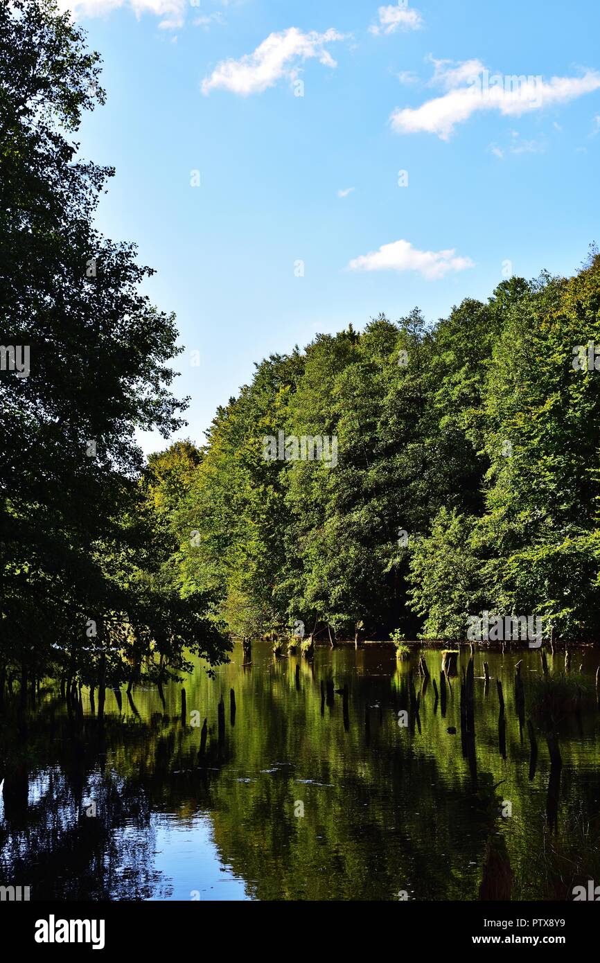 Hubertlaki See in Bakony-gebirges, Ungarn Stockfoto