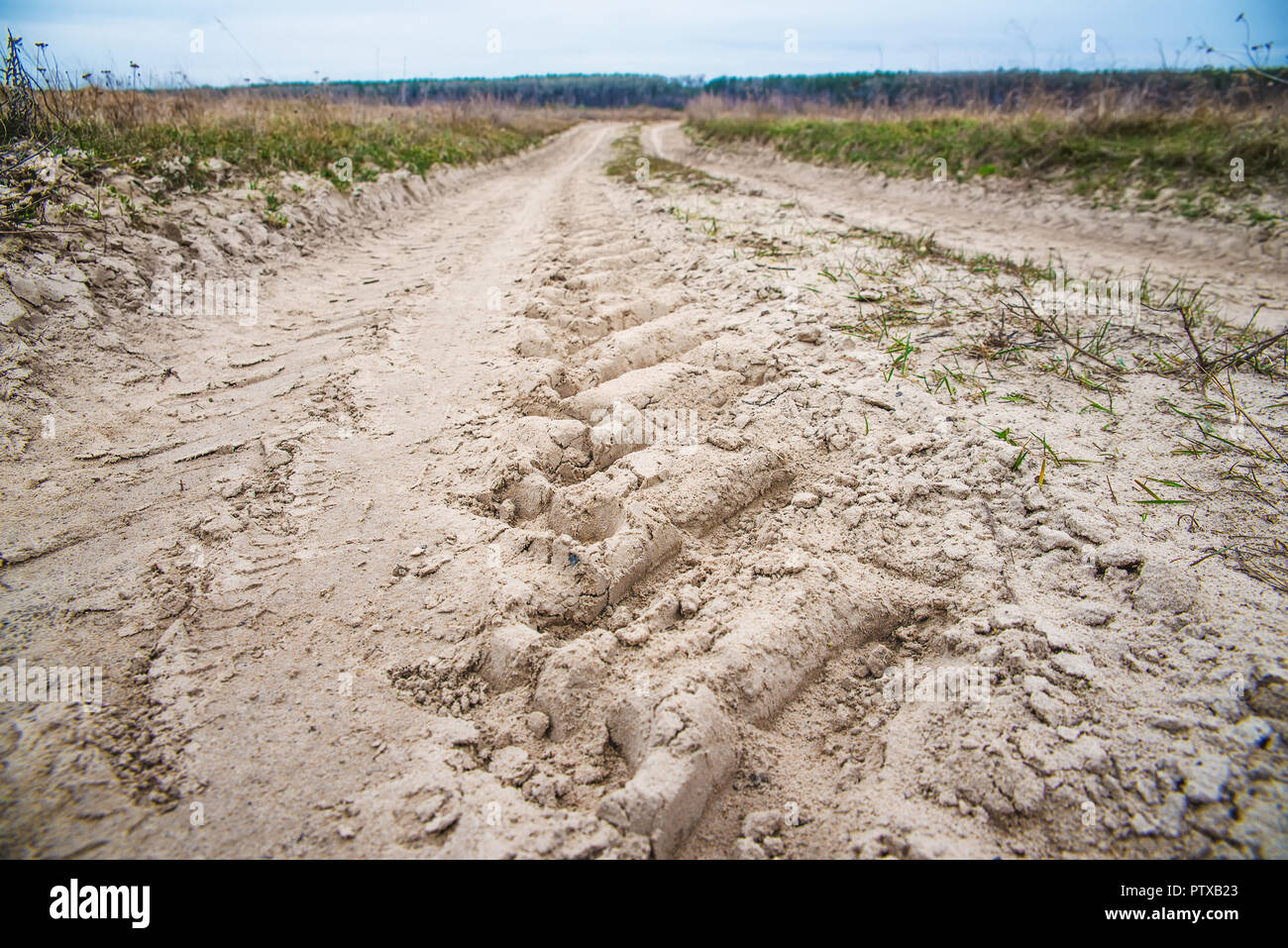 Feldweg in den Wald durch das Feld Stockfoto