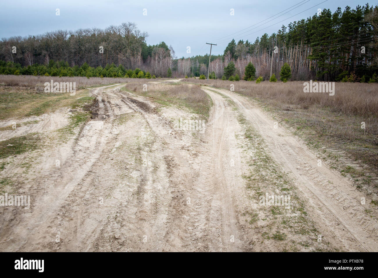 Feldweg in den Wald durch das Feld Stockfoto