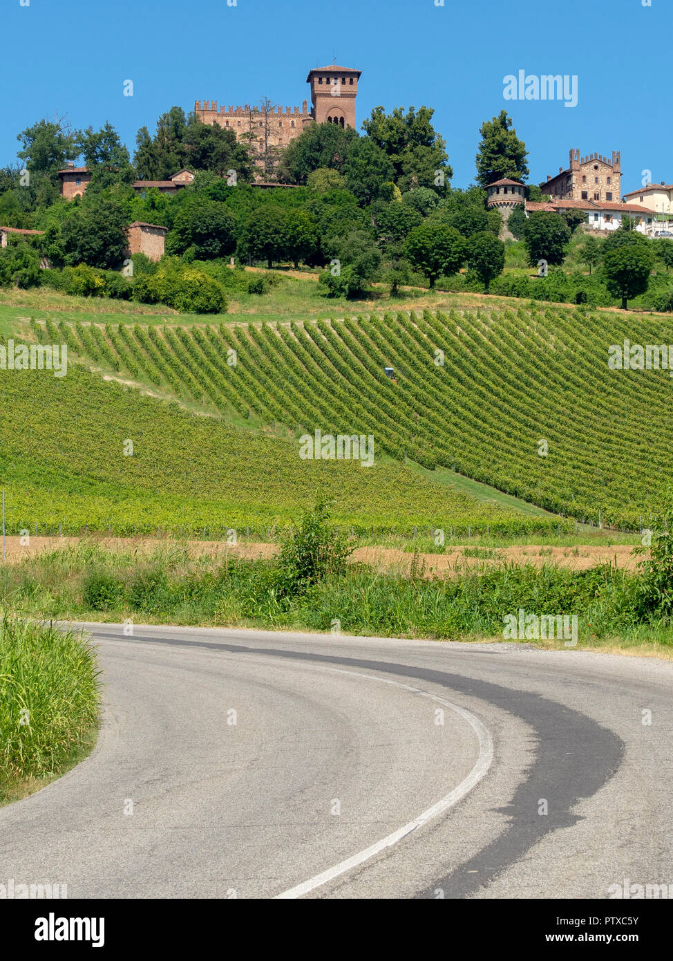 Weinberge am Gabiano, Alessandria, Monferrato, Piemont, Italien. Sommer Landschaft Stockfoto