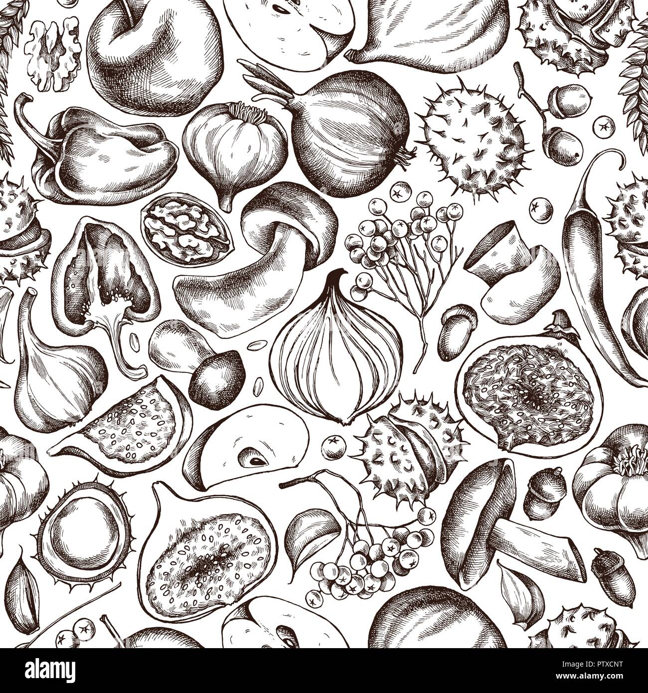 Vektor nahtlose Muster der Herbst Obst und Gemüse Muster. Hand Vector Illustration gezeichnet Stock Vektor