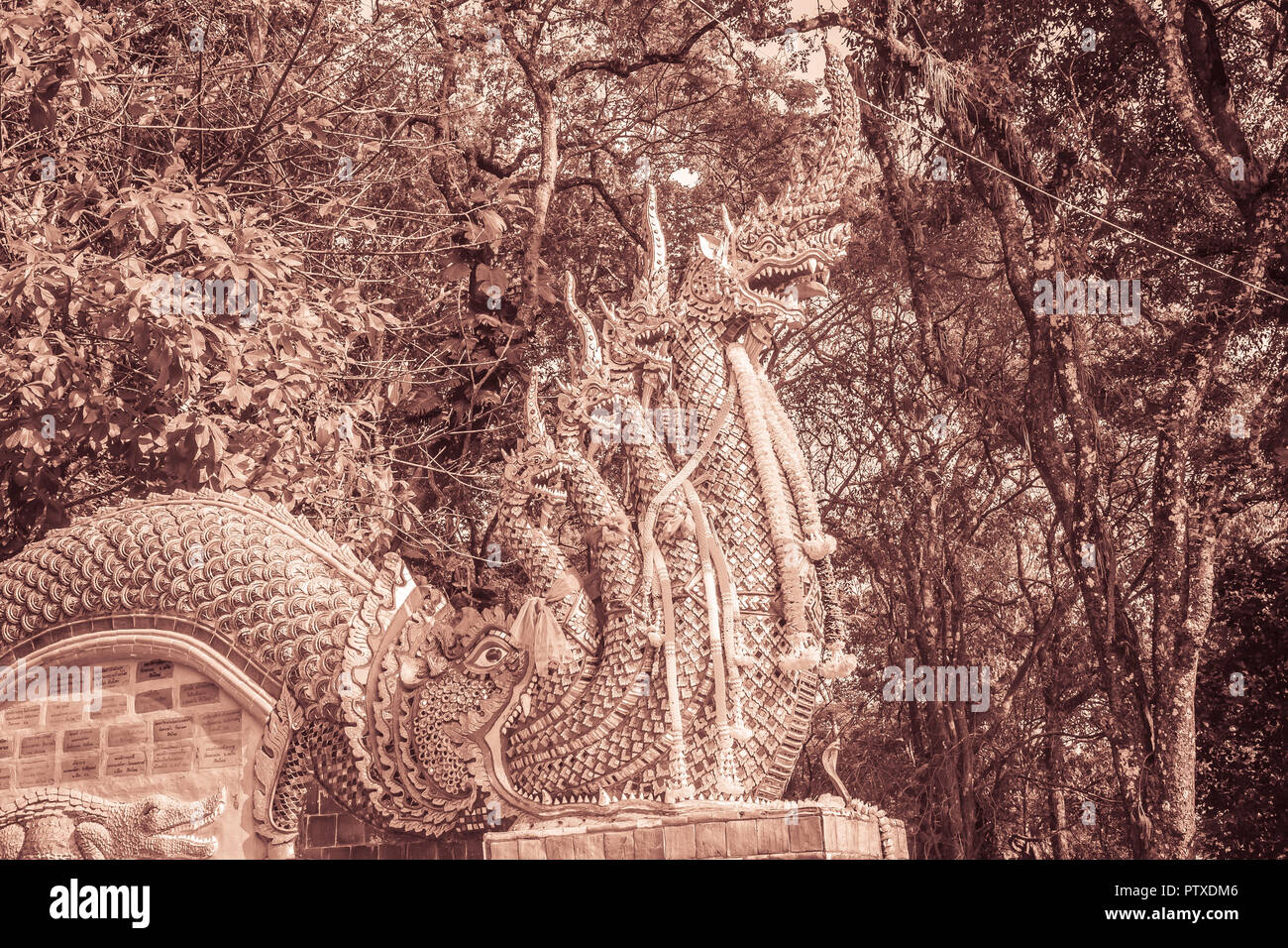 Schöne naga Statue auf der Treppe zu den Tempel von Wat Phra That Doi Suthep, dem berühmten Tempel und wurde zum Wahrzeichen von Chiang Mai, Tha Stockfoto