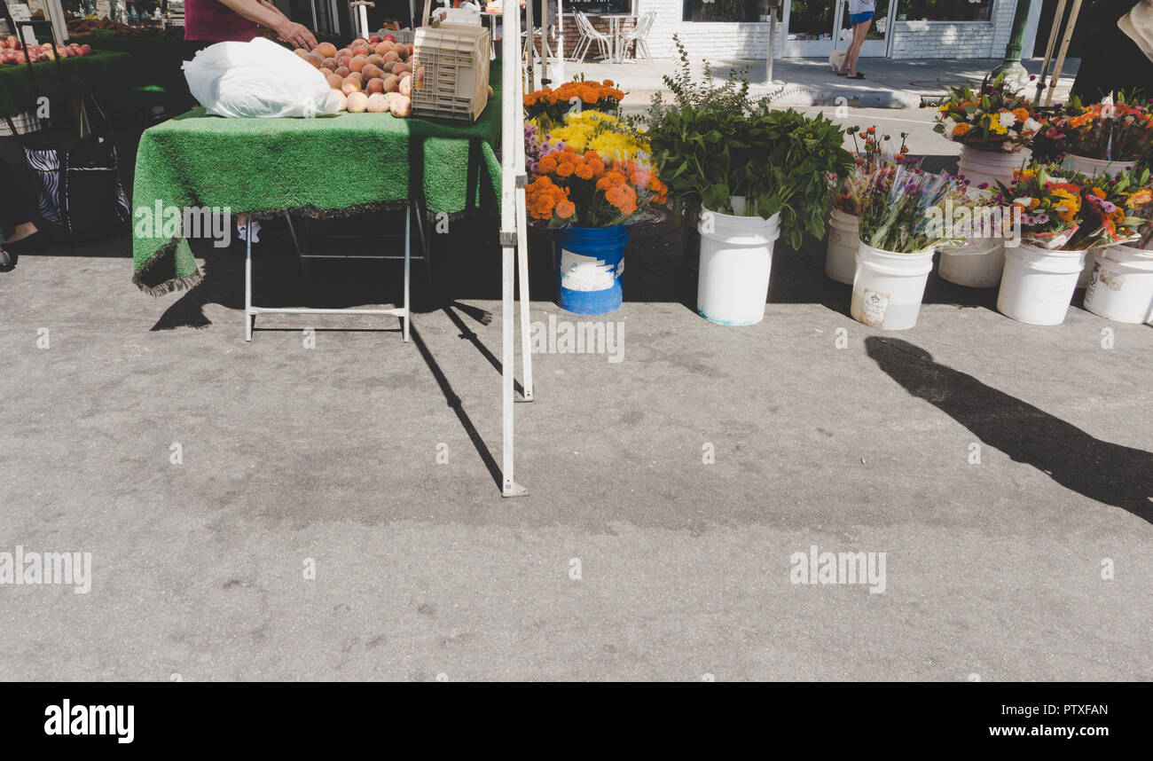 Südkalifornien Blumenstand bei Farmers Market: Wunderschöne Blumen für den Verkauf auf dem Display in weiß Eimer, natürliches Licht. Stockfoto