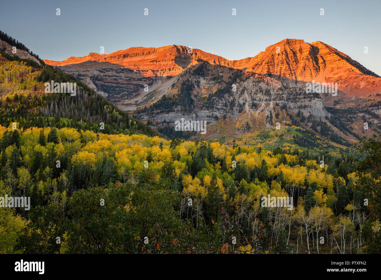 Herbst Farbe bei Sonnenaufgang, Mount Timpanogos, Wasatch Berge, Utah Stockfoto