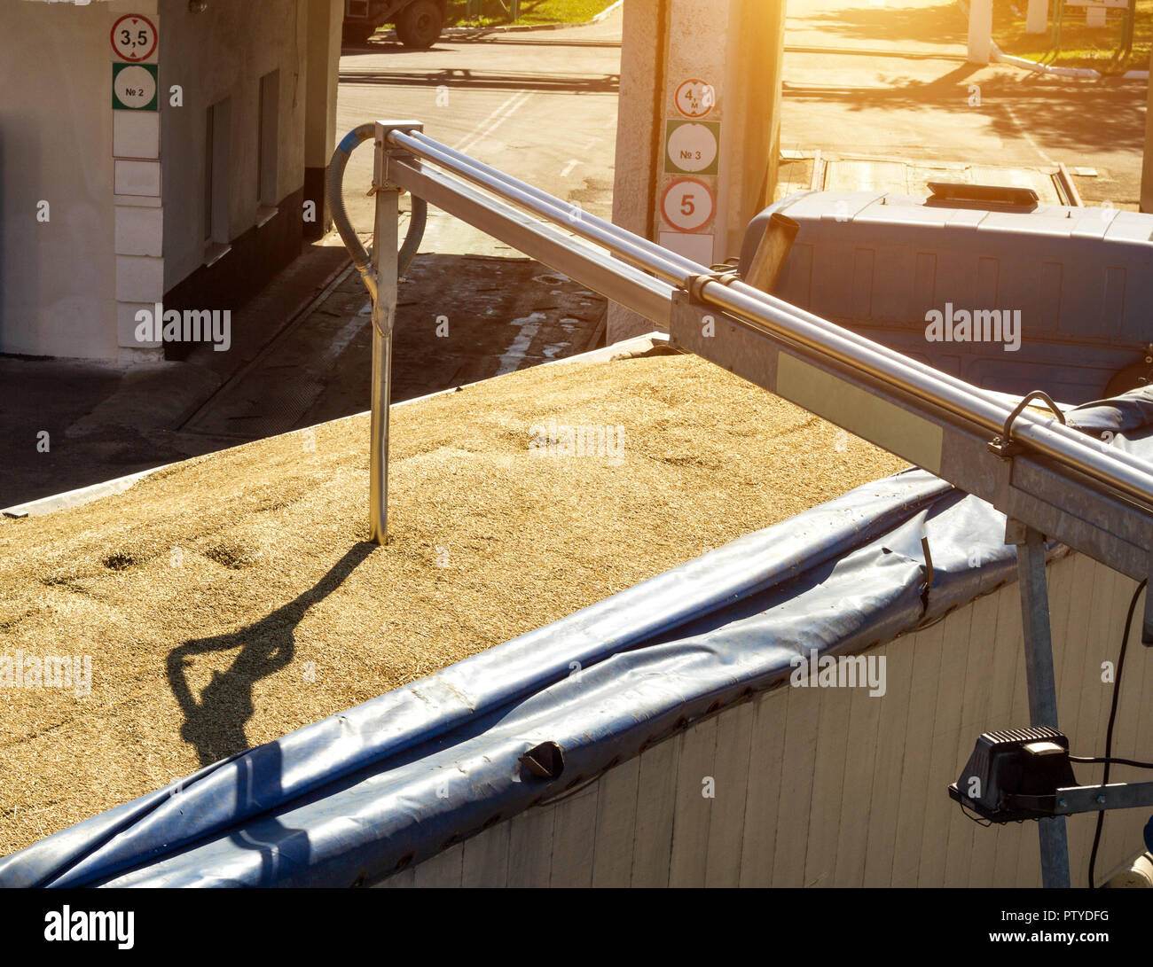 Von einem Korn-beladenen Lkw bringt Getreide für Analyse, Getreideverarbeitung, Kernel Stockfoto
