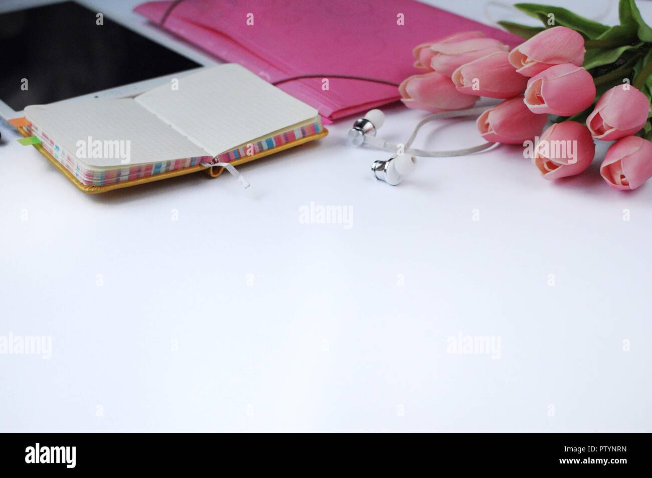 Studie Material. Bildung Hintergrund. Schreibwaren. Aspekte der Bildung. Tablet, Ordner, Kopfhörer, Blumen und Notebook auf dem Tisch. Stockfoto