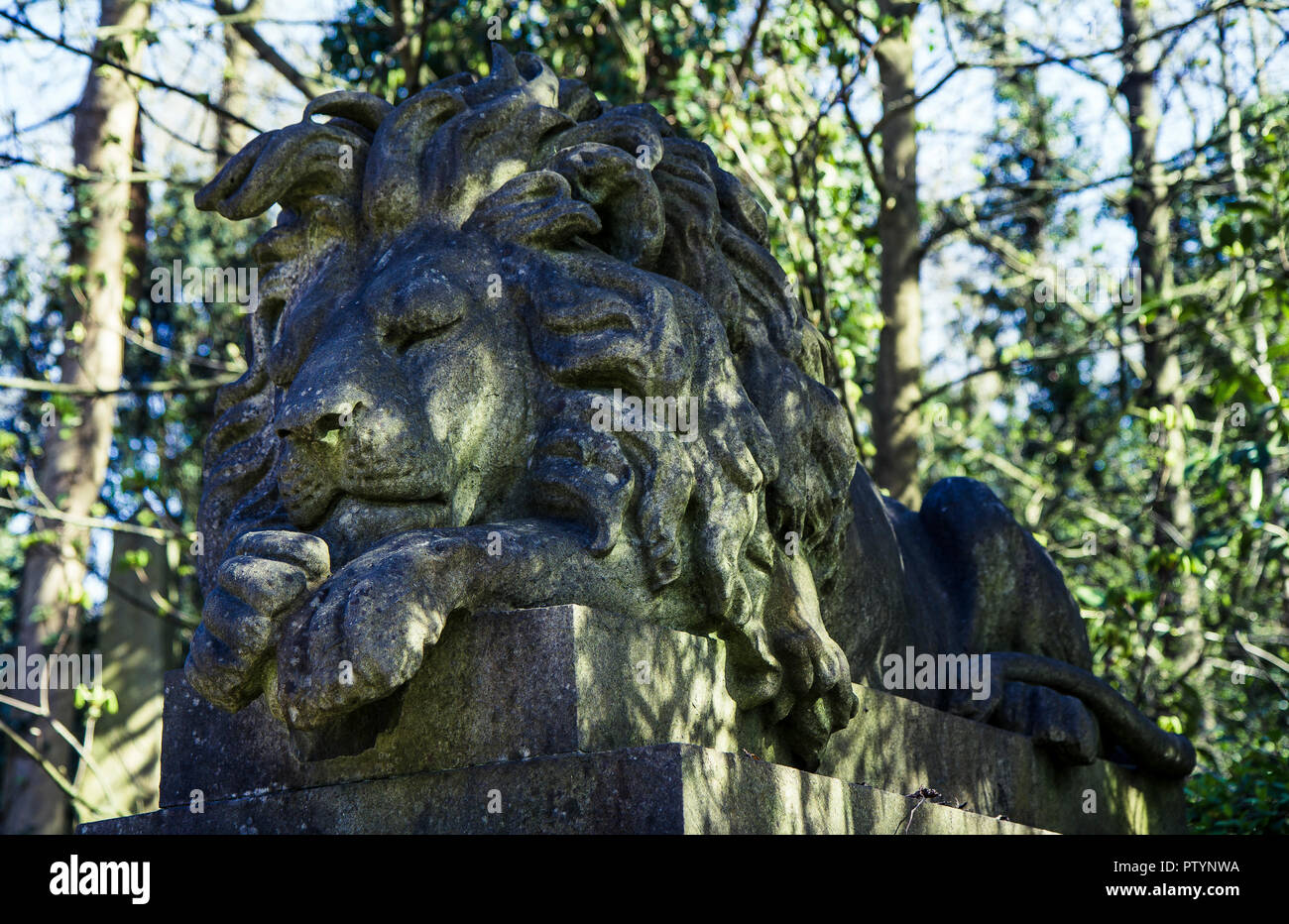 London - April 2012: Grab von George Wombwell mit Statue seiner lion Nero auf Highgate Cemetery Stockfoto